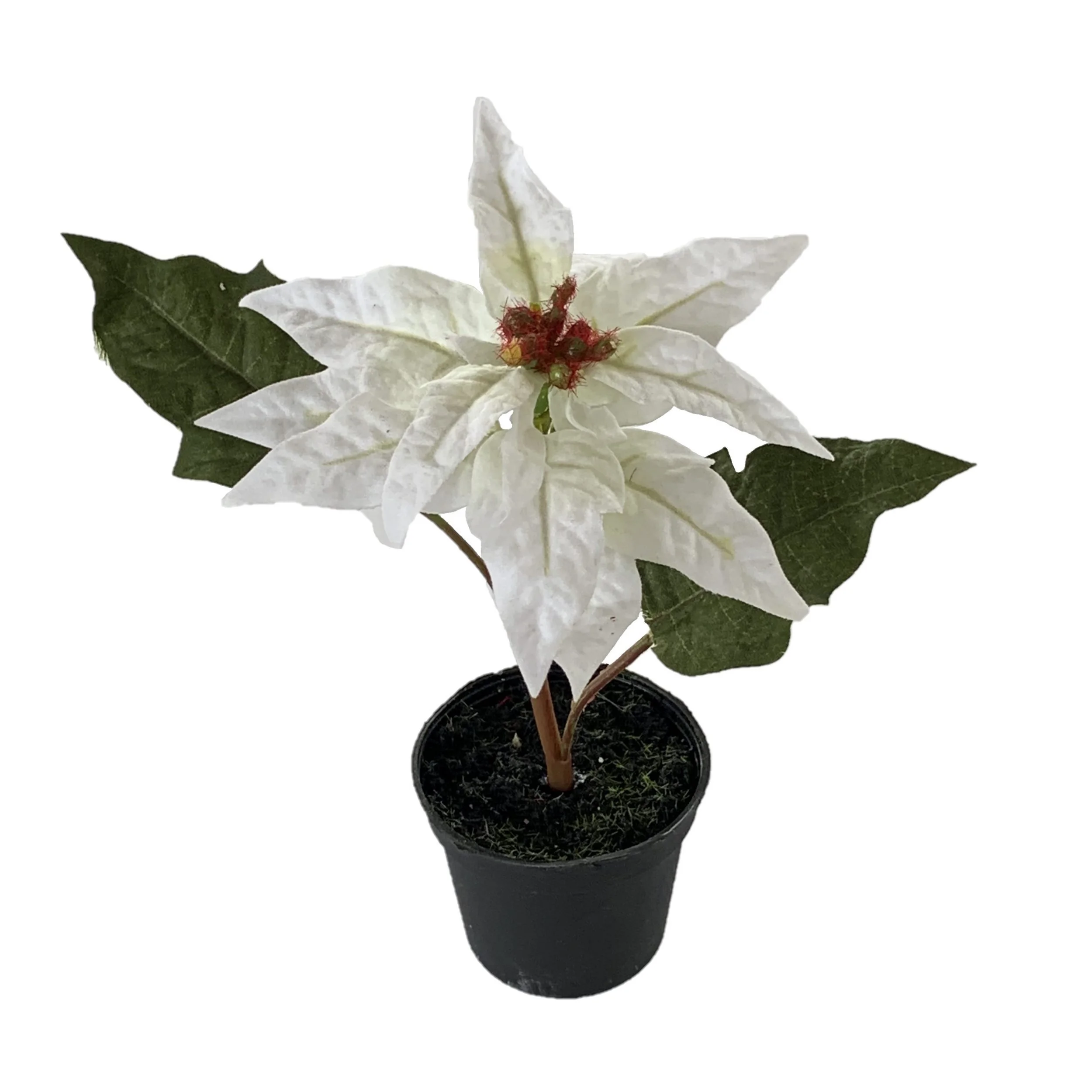 Kunstblume Poinsettie im Topf, ca. 17 cm, Weiß